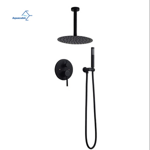 Aquacubic Ceiling Mounted Shower Head System with Handheld Shower