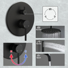 Aquacubic Black Shower Faucet Shower System with Handheld Shower head