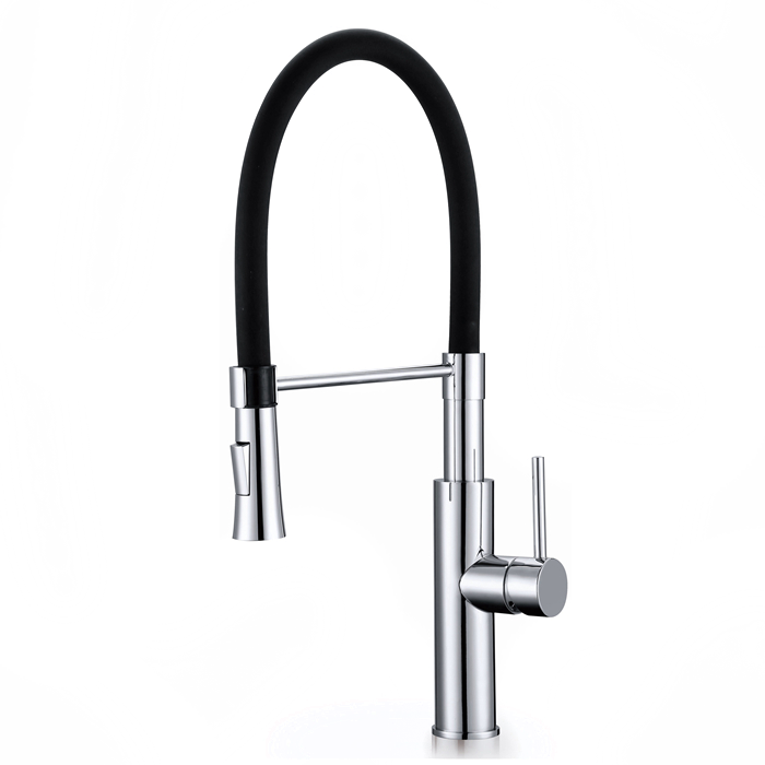 Kitchen Faucet with Pull Down Sprayer AF6166-5