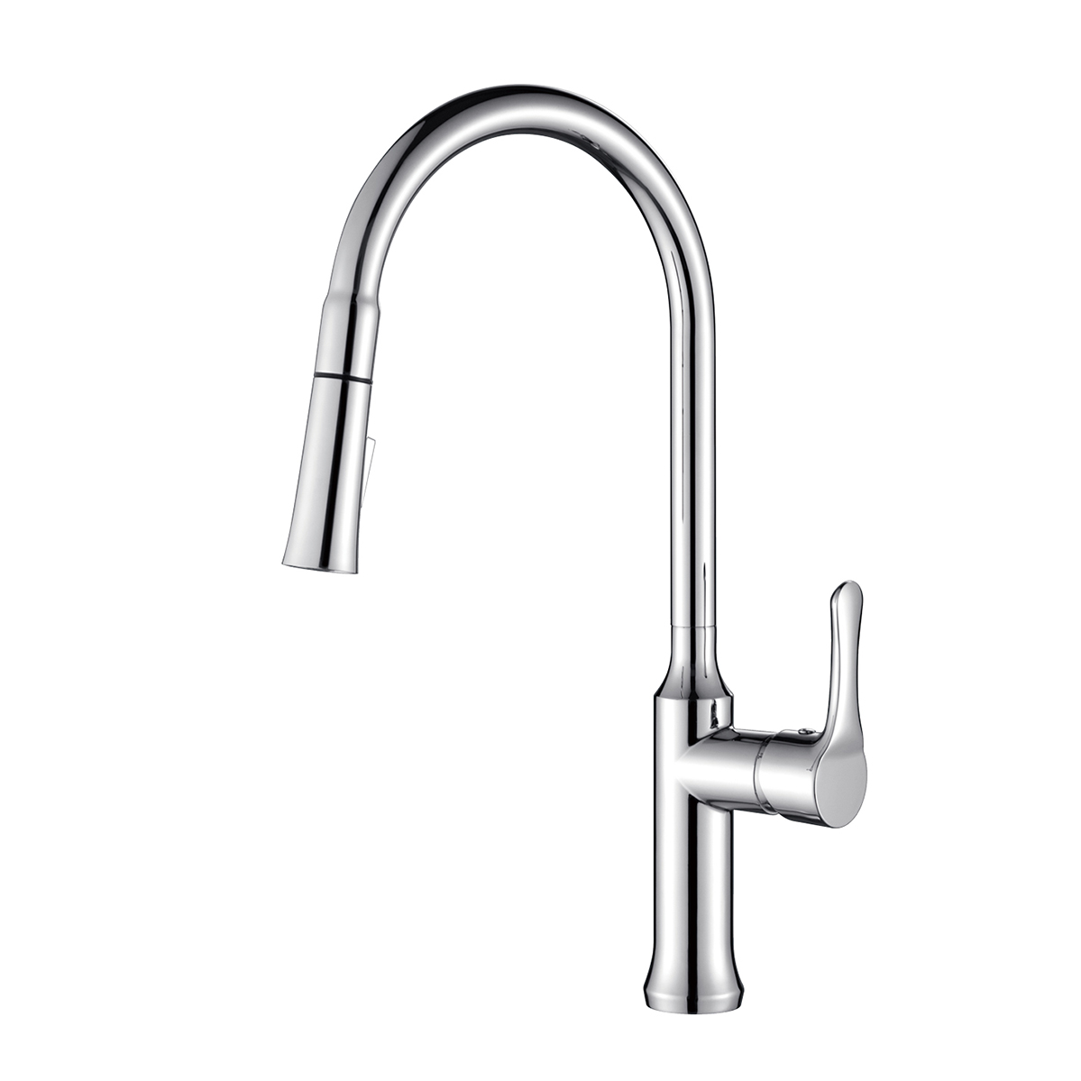 Kitchen Faucet with Pull Down Sprayer AF1034-5B