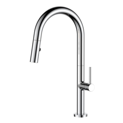 Chrome Finish Kitchen Sink Faucet with Pull Down Sprayer AF6842-5