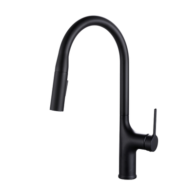 Single Handle Pull Down Sprayer Kitchen Faucet AF3062-5