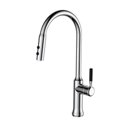 Kitchen Faucet with Pull Down Sprayer AF3048-5