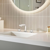 Low-arc 2-Handle Brass Vanity RV Bath Sink Faucet with 3-Hole 