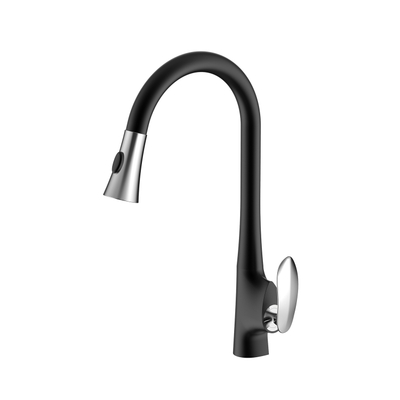 Matte Black and Chrome Finish Kitchen Faucet with Sprayer